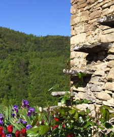 Trova la casa dei tuoi sogni