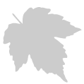 Materiali caratteristici